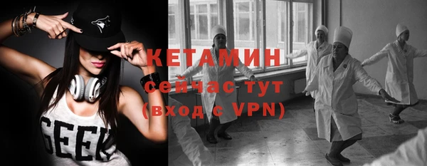 прущие крисы Ельня