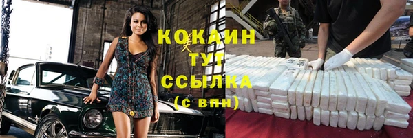 прущие крисы Ельня